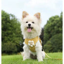 Coleira Peitoral & Guia Pet Florzinha