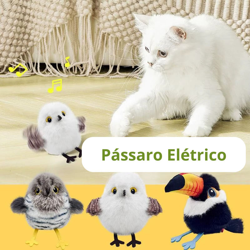 Pássaro Interativo Recarregável