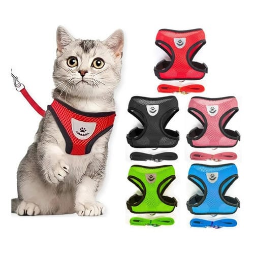 Coleira Peitoral & Guia Pet Conforto