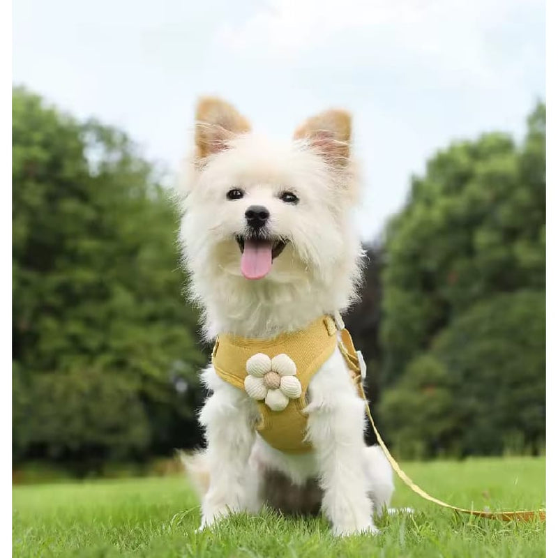 Coleira Peitoral & Guia Pet Florzinha