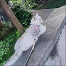 Coleira Peitoral + Guia com Bolsa de Petisco