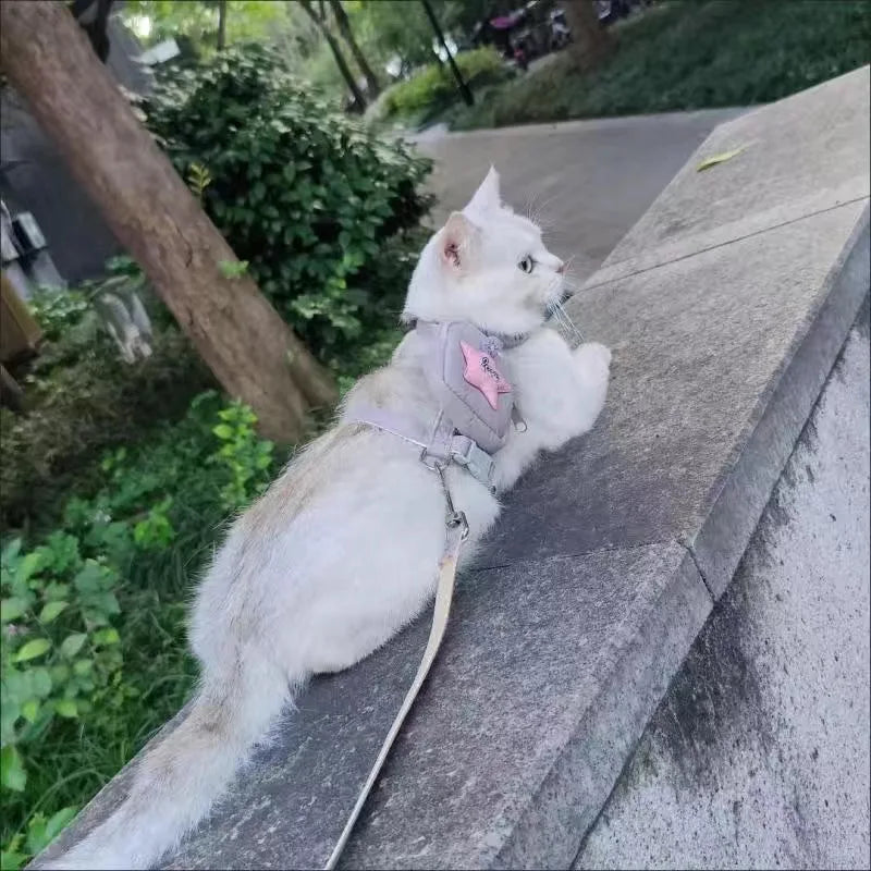 Coleira Peitoral + Guia com Bolsa de Petisco