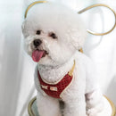 Coleira Peitoral & Guia Pet Lacinhos