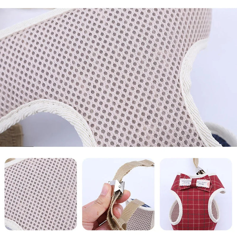 Coleira Peitoral & Guia Pet Lacinhos