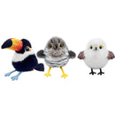 Pássaro Interativo Recarregável