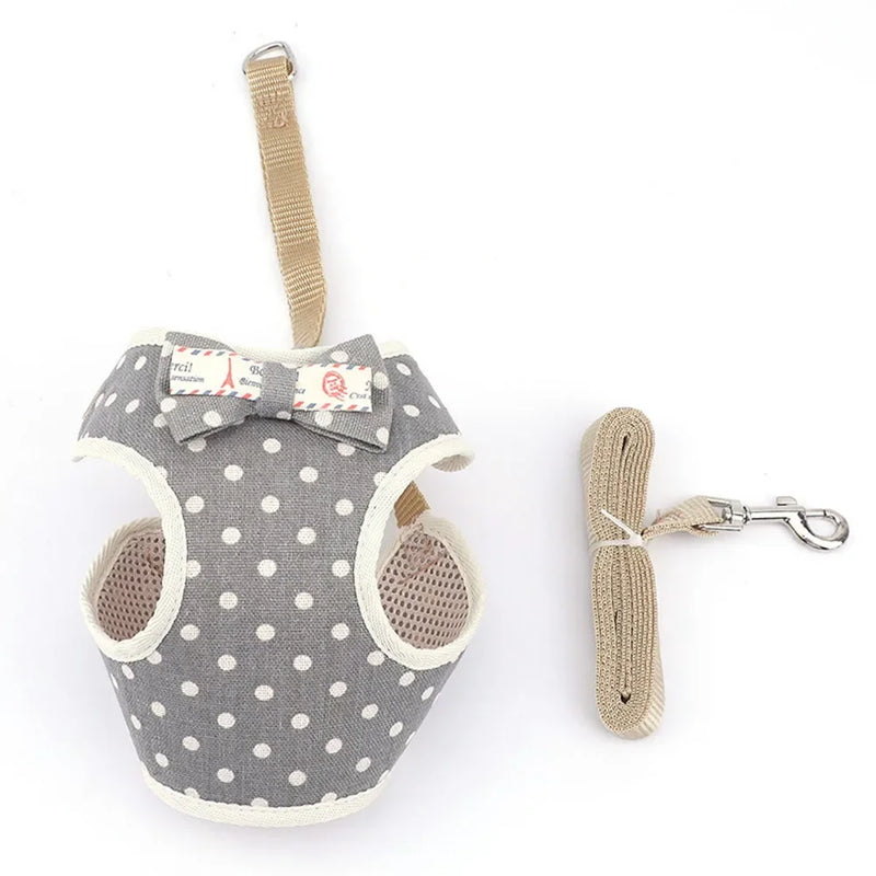 Coleira Peitoral & Guia Pet Lacinhos