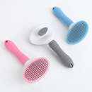 Escova Removedora Rasqueadeira